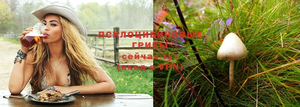 СК Ладушкин