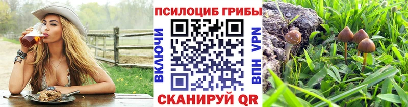 Псилоцибиновые грибы MAGIC MUSHROOMS  Купить где  Петушки 